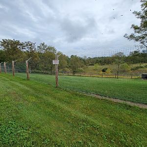 The Wilds - Cheetah yard #2, far end