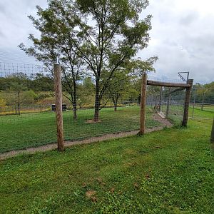 The Wilds - Cheetah yard #3