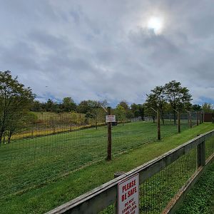 The Wilds - Cheetah yard #3