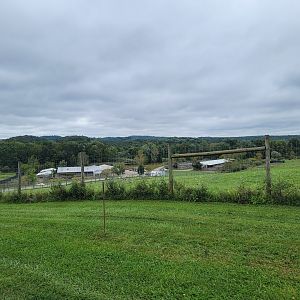 The Wilds - Hoofstock Management Center (mostly bachelor herds, didn't visit)