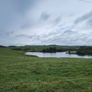 The Wilds - Bactrian deer