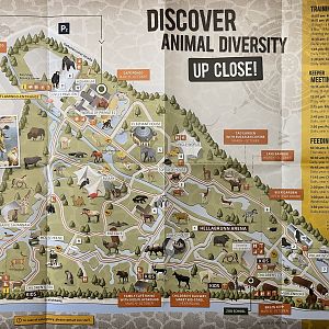 Zoo Map - 2019