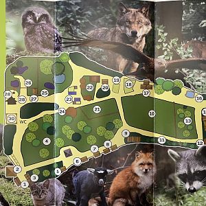 Tierpark Hexentanzplatz Thale Map - undated