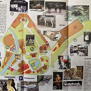 Zoo Map - undated