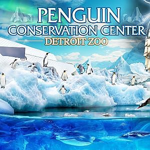 Polk Penguin Conservation Center | Zoo Tours