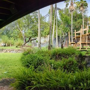 Myombe Reserve - Chimpanzee habitat