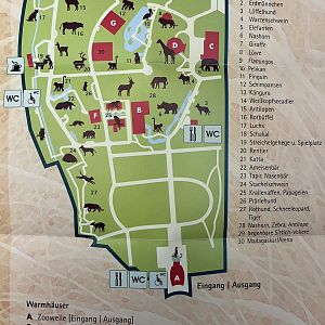 Zoo Map - 2015