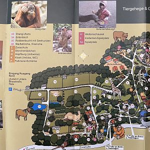 Zoo Map - 2008