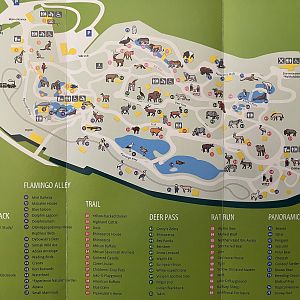 Zoo Map - 2012 (English)
