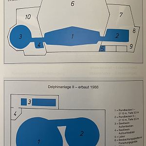 Dolphin Exhibit Maps