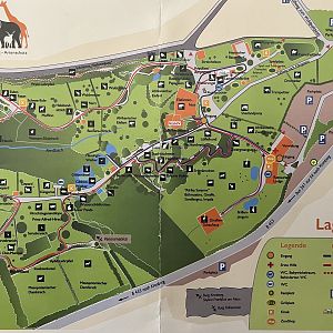 Zoo Map - 2019