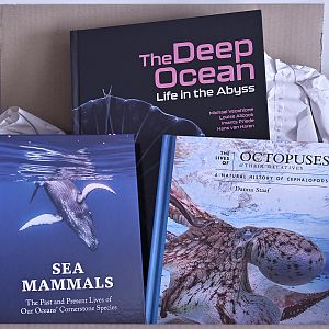 Book haul, just delivered (at 30% discount)