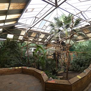 Sloth and armadillo house