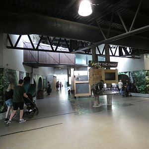 Chimpanzee indoor viewing area
