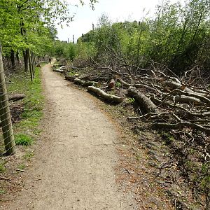 Holsted Anlæg - General view