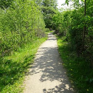 Holsted Anlæg - General view