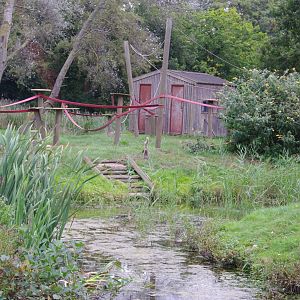 Lemur islands- Black Lemur island with the Mongoose to the left and Red-ruffed to the right- 1/10/2023