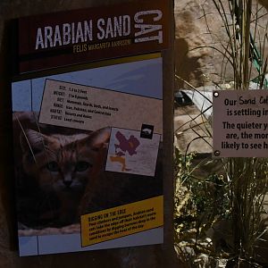 Desert's Edge - Sand cat signage