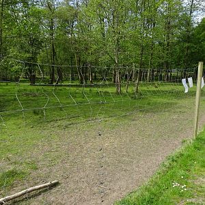 Holsted Anlæg - Fallow deer exhibit