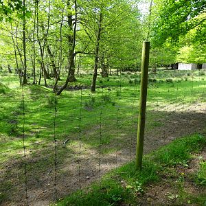 Holsted Anlæg - Fallow deer exhibit