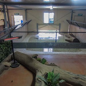 Alligator indoor area