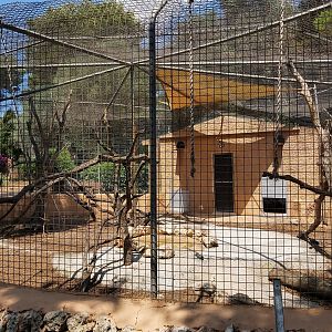 'Second' ring-tailed lemur exhibit