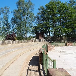 South American sea lion show arena, 2023-05-19