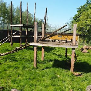 Former Asiatic black bear exhibit, now part of Brown bear exhibit, 2023-05-19