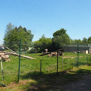 Brown bear exhibit, 2023-05-19