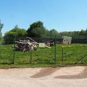 Brown bear exhibit, 2023-05-19