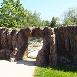 Polar bear viewing window, 2023-05-19