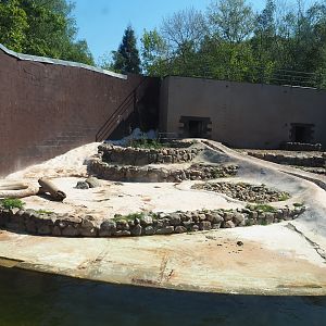 Polar bear exhibit, 2023-05-19