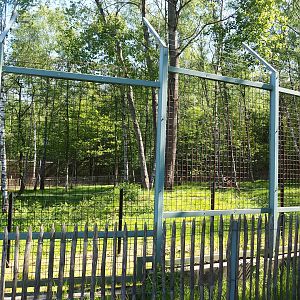 Polar bear exhibit - Forest area extension, 2023-05-19