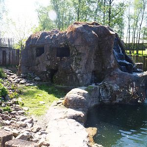 Part of Humboldt penguin exhibit and Humboldt penguin shelter, 2023-05-19