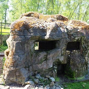 Humboldt penguin shelter, 2023-05-19