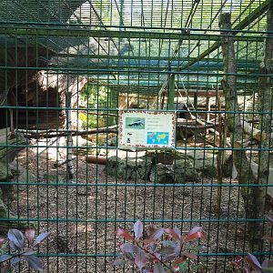 Raccoon and striped skunk exhibit, 2023-05-19
