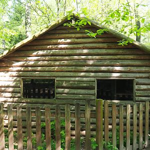 Raccoon and striped skunk barn, 2023-05-19