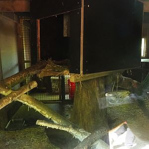 Interior of the Raccoon and striped skunk barn, 2023-05-19