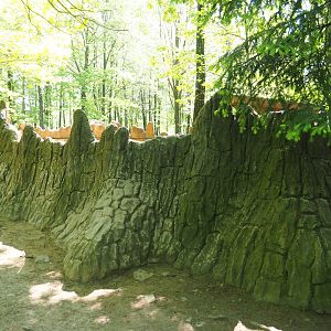 Wall around Black-tailed prairie dog exhibit, 2023-05-19