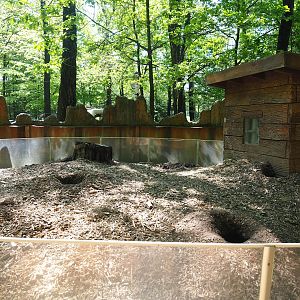 Black-tailed prairie dog exhibit, 2023-05-19