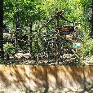 Binturong exhibit, 2023-05-19