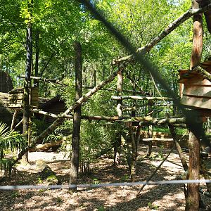 Binturong exhibit, 2023-05-19