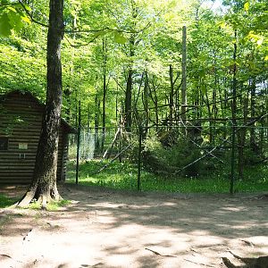 Red panda exhibit, 2023-05-19
