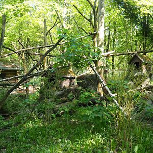 Red panda exhibit, 2023-05-19