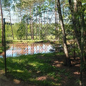 Asian small-clawed otter exhibit, 2023-05-19