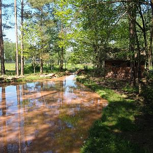 Asian small-clawed otter exhibit, 2023-05-19