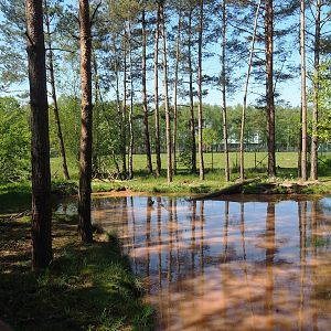 Asian small-clawed otter exhibit, 2023-05-19