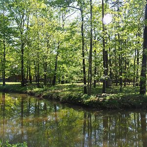 Ring-tailed lemur island, 2023-05-19