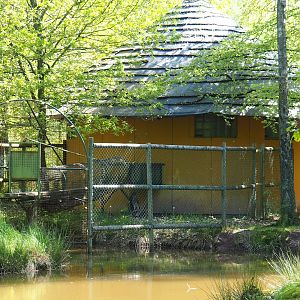 Lemur house and chute to island, 2023-05-19