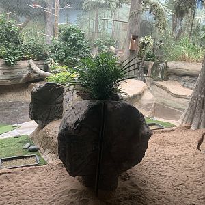 The Swamp - Rosybird pochard and American flamingo exhibit